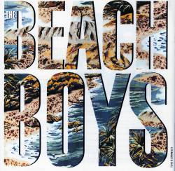 The Beach Boys : The Beach Boys The Beach Boys : The Beach Boys